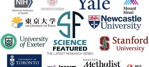 Science Max Bridges 的图像结果