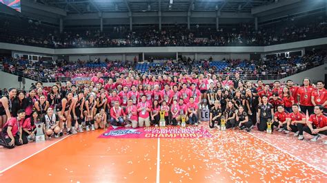 PVL Conference 的图像结果