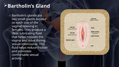 REPRODUCTION OF WOMANS BODY AND ITS FUNCTON | PPTX