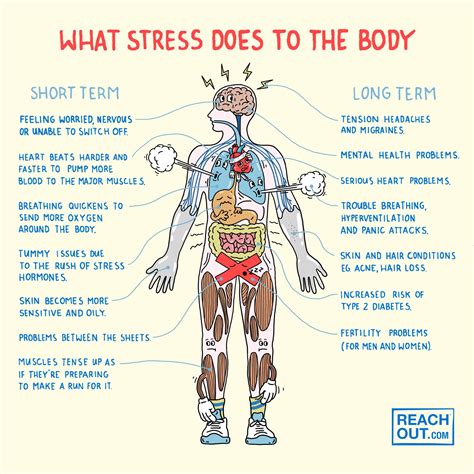 What does stress do to the body? | ReachOut Australia | ReachOut Australia