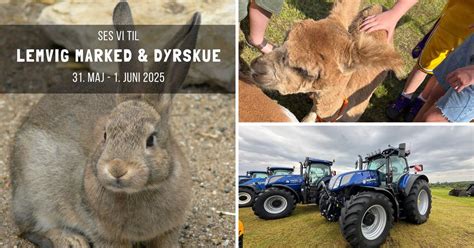 Lemvig Marked & Dyrskue 2025, Lemvig Marked & Dyrskue, 31 May 2025 ...