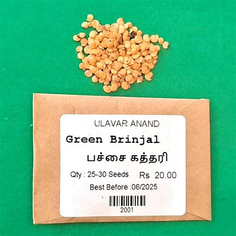 GREEN BRINJAL | பச்சை கத்தரிக்காய்
