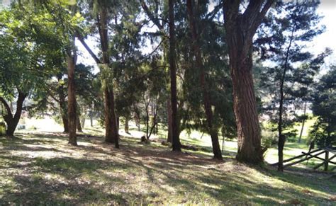 CORONATION PARK (2026) All You Need to Know BEFORE You Go (with Photos ...