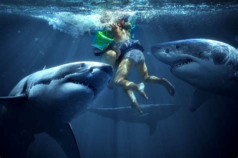 Compositing Tutorials 的图像结果