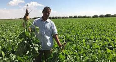 IID Online Learning | Best Industrial & Professional Courses