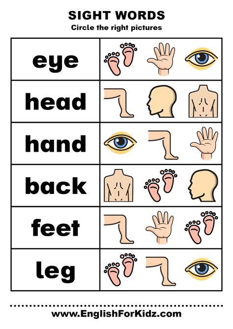 Sight words body parts – Artofit