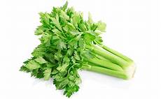 proprietã benefiche sedano sedano propriet 224 benefiche bioges it proprietã benefiche sedano sedano propriet 224 benefiche bioges it