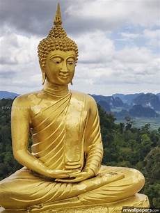 Buddha Images Hd by Buddha Hd Photos Wallpapers 1080p Android Iphone Buddha Images Hd