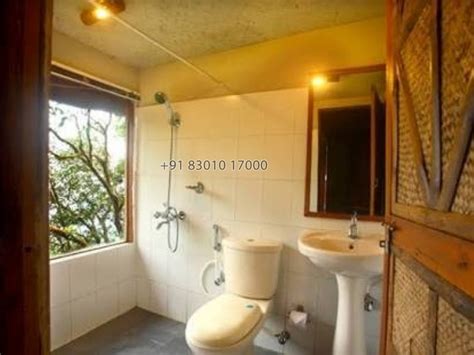 Wonderful Tree House in Munnar - Munnar Hosted By Mobin (MU1617 ...