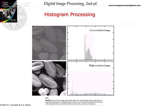 Histogram Equalization in Digital Image Processing 的图像结果