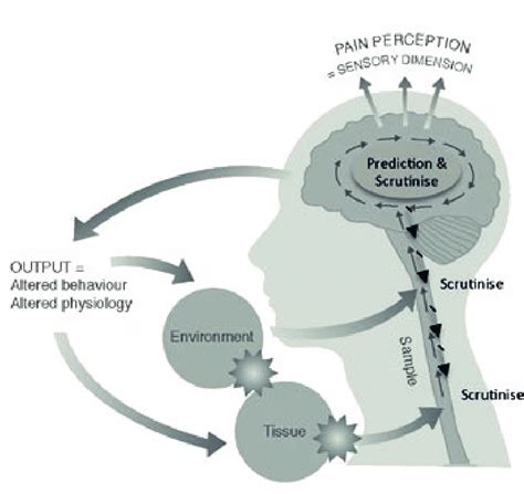 Image result for Predictive Coding Conceptual