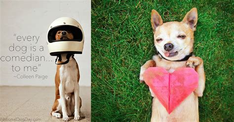 國際狗狗日快樂！關於節日的4件小事：20種慶祝方式全球響應、鼓勵「領養代替購買」而設立 | Bella.tw儂儂