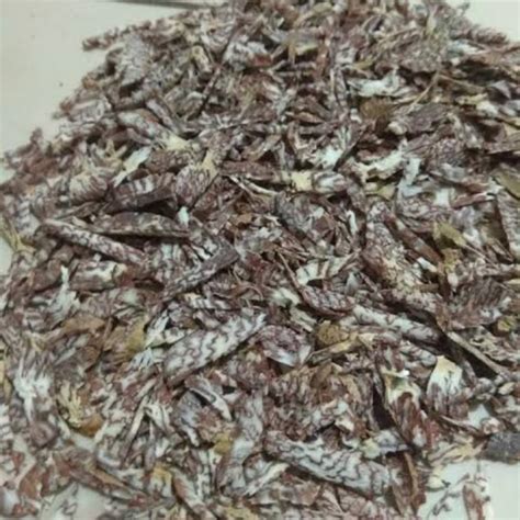 Supari Cutting Plain Chips Supari (GOL-MOL) (100 Gram) Chaliya Chips ...