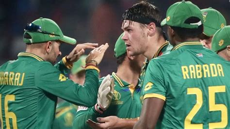Image result for CWC Semi Final 2015