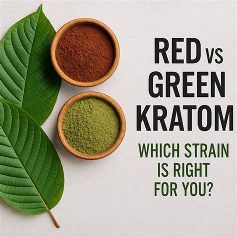 Kratom and OTC Medications Safety Guide | Kratom Bird