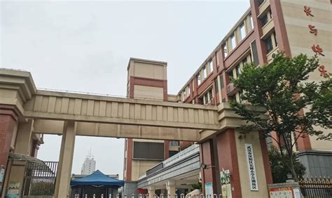 武汉校园内被撞致死小学生的母亲坠楼身亡，曾遭受不少攻击性评论 - 知乎
