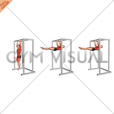 Hanging Front Lever Hold (male)