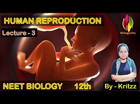 Image result for Human Reproduction YouTube