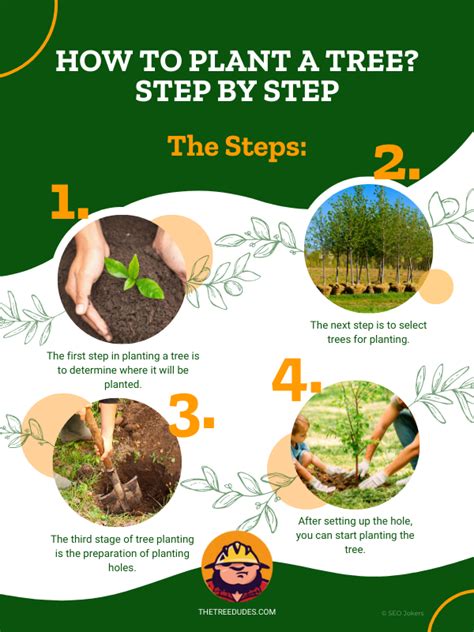 Image result for Tree-Planting Steps