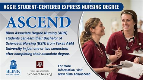 Associate Nursing Programs 的图像结果