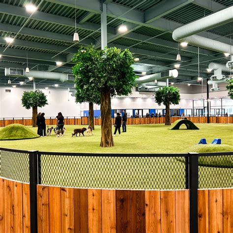 Indoor Dog Park - Petfinity