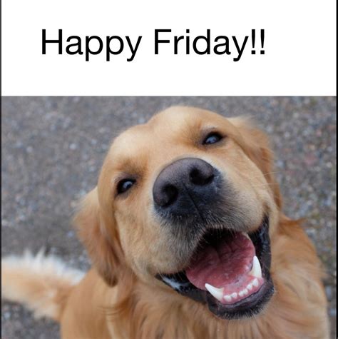 Latest memes / New memes :) Memedroid