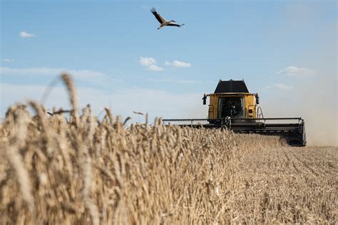 Ukraine Urges EU to Stop Ban on Crop Exports to Neighbors - Bloomberg