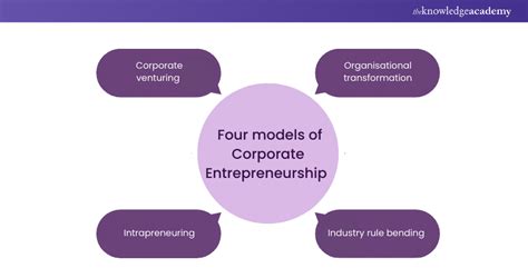 Corporate Entrepreneurship 的图像结果