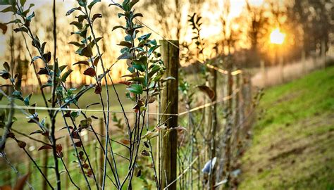 SQUABBLE STATE HARD CIDER & SPIRITS (2026) All You Need to Know BEFORE ...