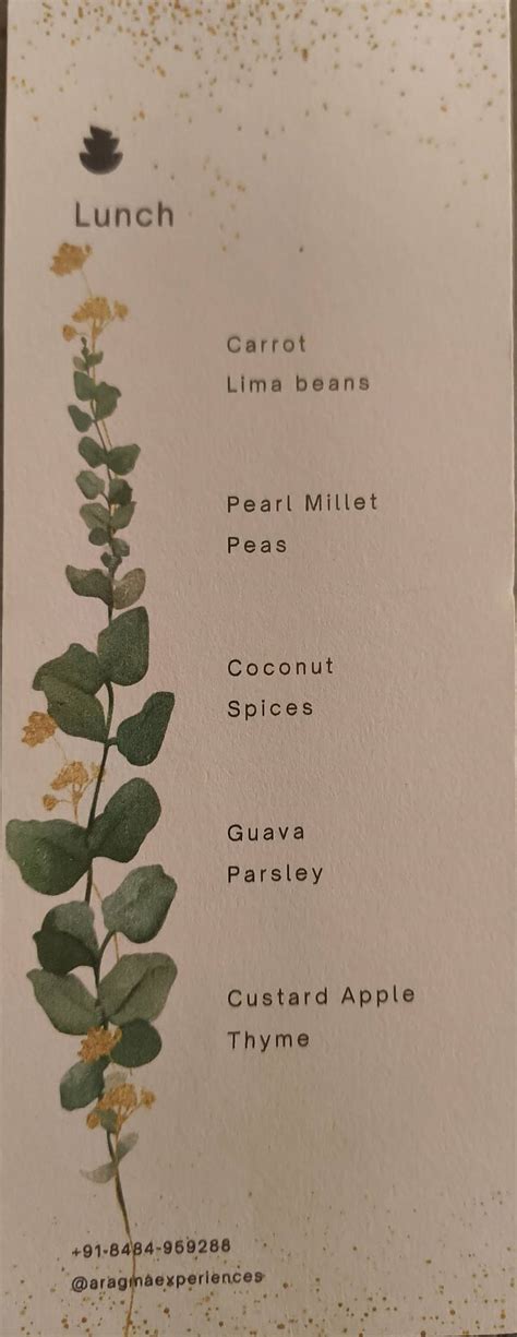 Menu at Aragma, Pune, Ground floor