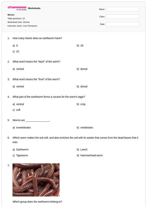 50+ Earthworm Anatomy worksheets for Class 6 on Wayground | Free ...