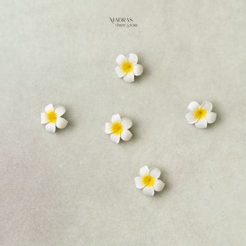 Filler Props – Madras Prop Store