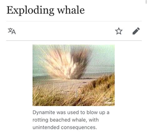 Image result for Exploding Whale Meme