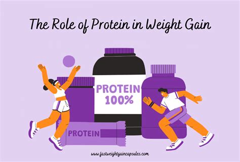 The Role of Protein in Weight Gain