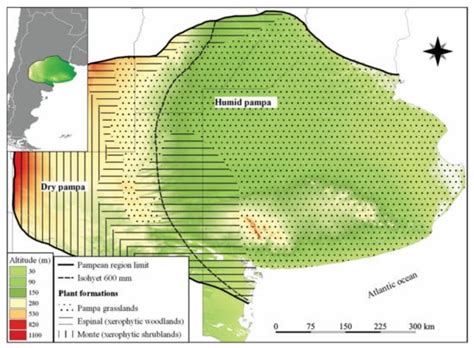 Pleistocene Mammals from Pampean Region (Argentina). Biostratigraphic ...