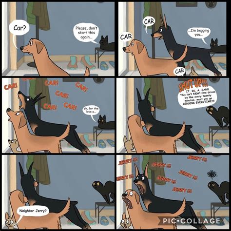 Dogs 🐶 😂😂 | Dog comics, Dogs, Funny