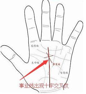 指尖肥肥圆圆的手相,手相中手指的三个指节各代表什么?