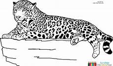 ausmalbilder tiere leopard ausmalbilder jaguar tier jaguar tier ausmalbilder tiere ausmalbilder tiere leopard ausmalbilder jaguar tier jaguar tier ausmalbilder tiere