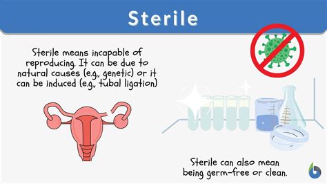 Sterile Definition and Examples - Biology Online Dictionary