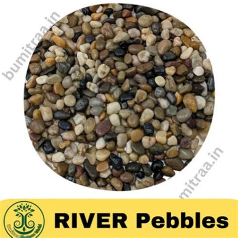 River Pebbles 1kg in Pebbles Stone | Bumitraa - ecommerce