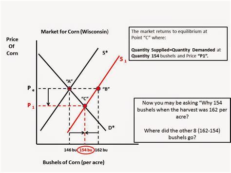 Basic Economic Model 的图像结果