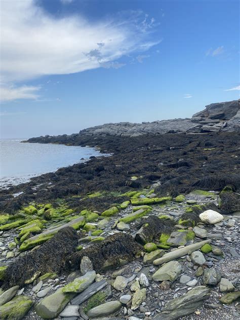 Two Lights State Park (Maine) : r/Stateparks