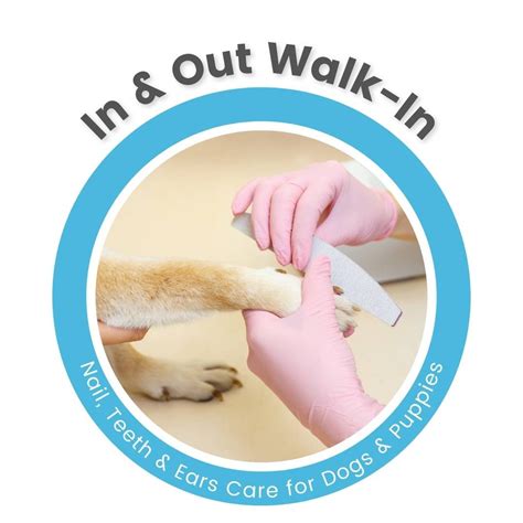 Nashville Pet Grooming & Dog Wash Appointments — WashPaw Nashville ...