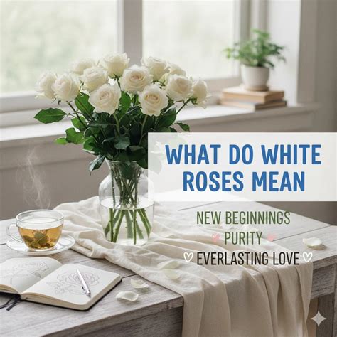 What Do White Roses Mean: Symbolism, Messages & Occasions