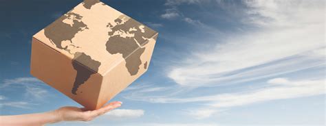 DTDE | Packaging Service