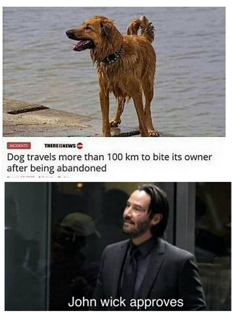 John Wick Meme