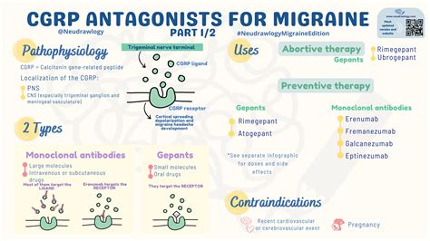 Migraine disorder — Neudrawlogy: Simplifying Neurology