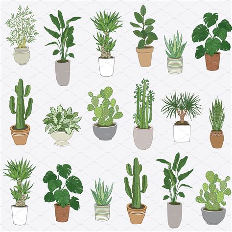 plant drawing ideas