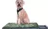 Potty-Training Turf for Dogs | Groupon Goods