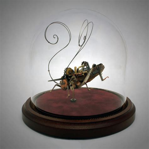 Image result for Giant Insect Lab Gallery